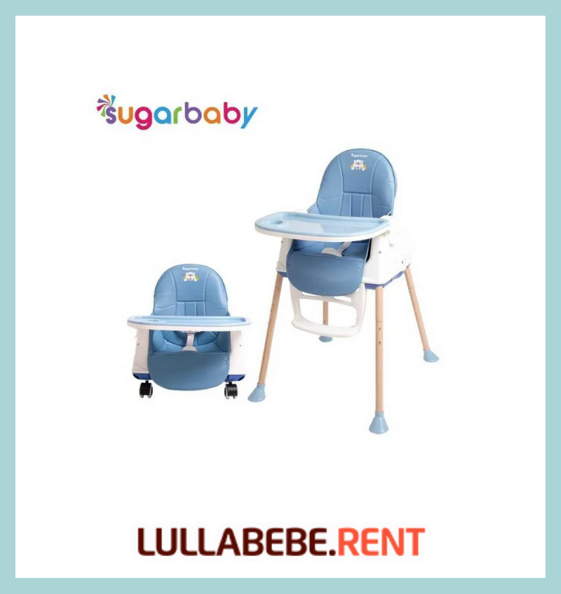 SUGAR BABY MY CHAIR BOOSTER AND HIGHCHAIR