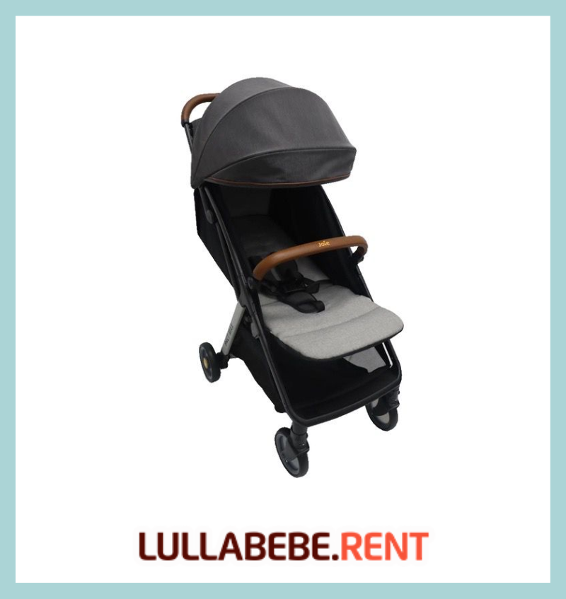 JOIE PACT MAX - COAL