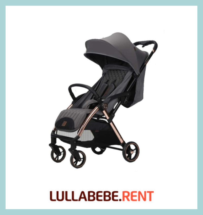 BABYELLE MAXI PRO - GREY